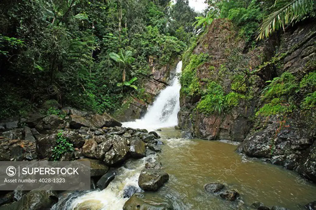 Puerto Rico, Luquillo, El Yunque National Forest, La Mina Waterfall.