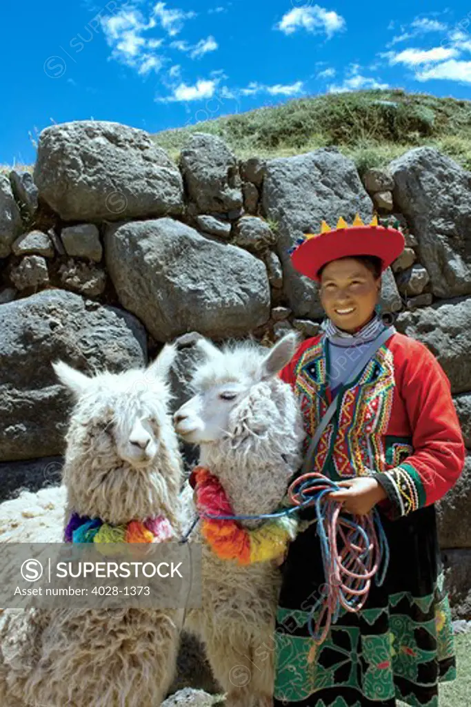 Cusco, Peru, A local woman in traditional clothing leads her llamas through the ruins of Sacsayhauman.