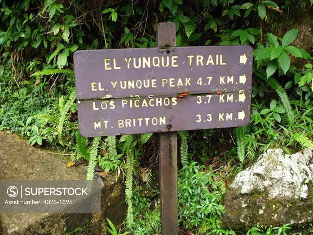 Puerto Rico, Luquillo, El Yunque National Forest, Trail Head Sign.