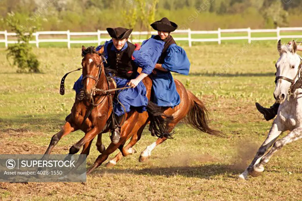 Hungary, Kalocsa, Csikos Hungarian horse riders.