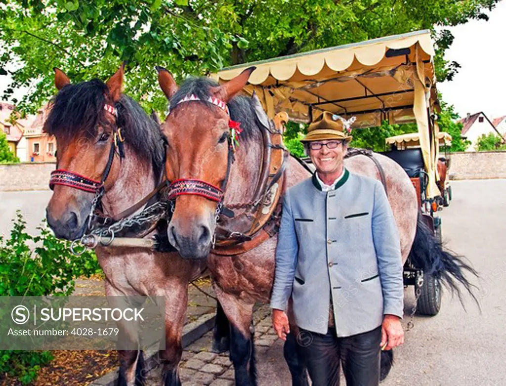 Rothenburg ob der Tauber, Germany, a coachman poses with his Horse drawn carriage used to take tourists into town.