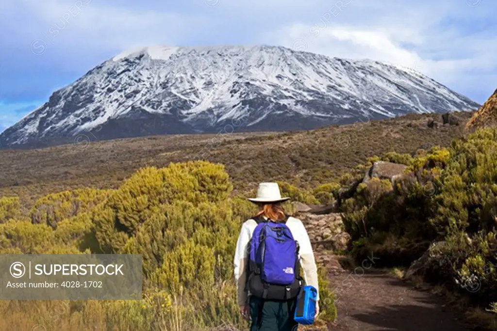 A woman with a backpack hiking up the Marangu Route of Mt. Kilimanjaro, Tanzania