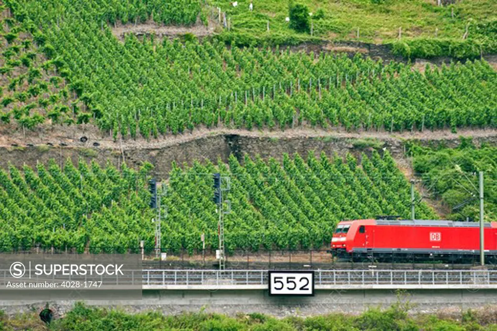 Koblenz, Germany, a high speed train rushes by Rhineland Vineyards along the bank of the Rhine River on the Eurorail