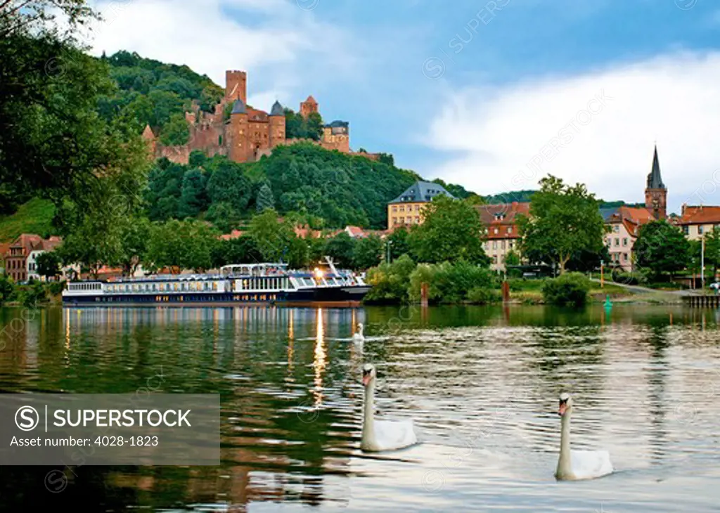 Swans swim by a River cruise ship docked outside of Wertheim, Germany with Wertheim Castle in the background