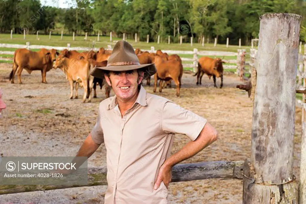A Brahman cattle rancher (stockman) at Wetherby Station (ranch) in  Queensland, Australia