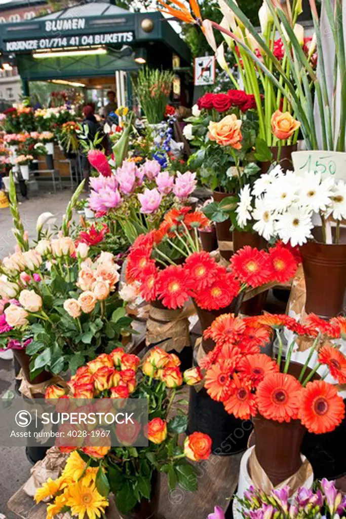 Vienna, Austria, Flowers, Blumen,  at a flower shop next to Stadt Park