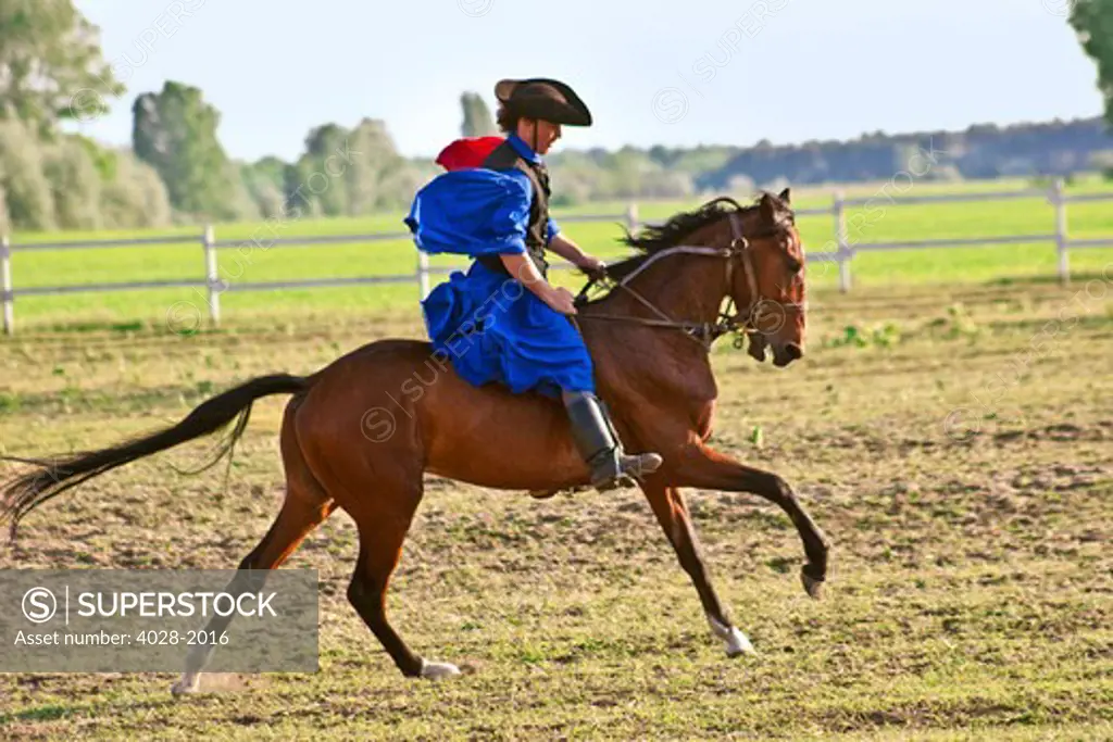Hungary, Kalocsa, Csikos Hungarian horse rider.