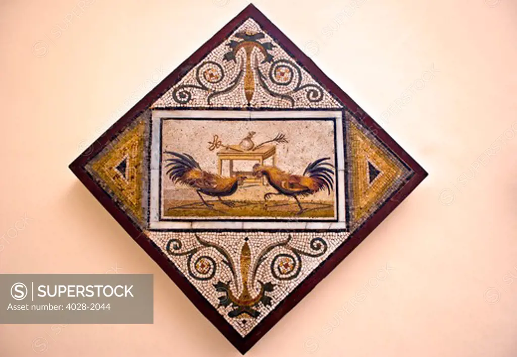 Tile Mosaic of the Cockfight from the city of Pompeii at the National Archaeological Museum (museo archeologico nazionale) in Naples, Italy