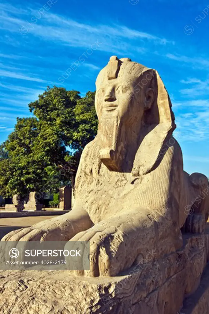 Egypt, Memphis, The Alabaster Sphinx at Memphis