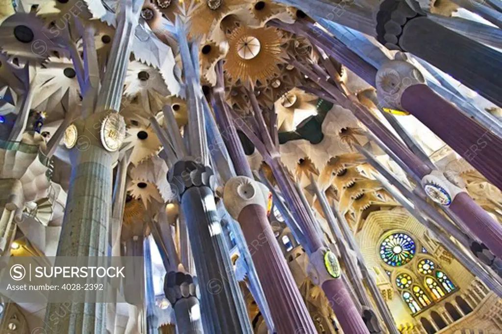 Barcelona, Catalonia, Spain, the ornate columns and ceiling of the Interior of Sagrada Familia
