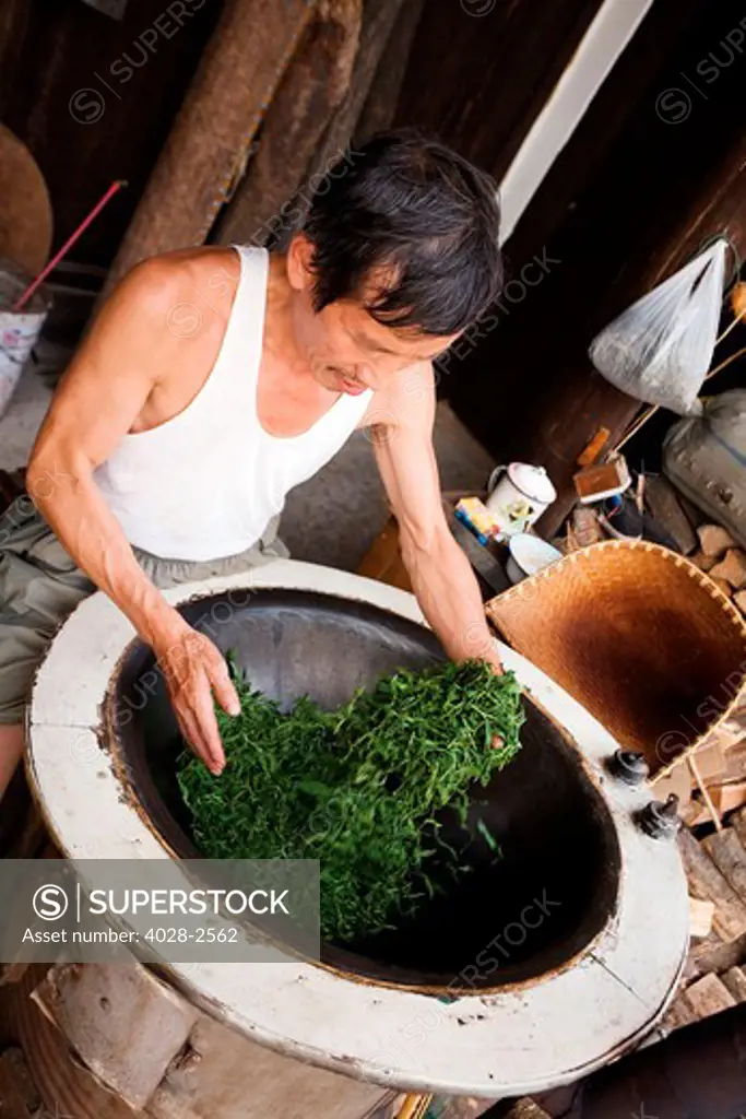 China, Hangzhou, Market, A man works at his drying wok as he dries the freshly picked green tea leaves.