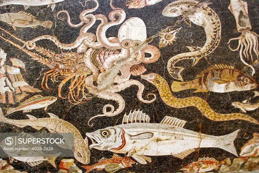 Italy: Campania: Naples, National Archaeological Museum. Detail of Sea fauna with fishes, by Alexandrian workers, 2nd Century - 1st Century B.C., vermiculatum floor mosaic.