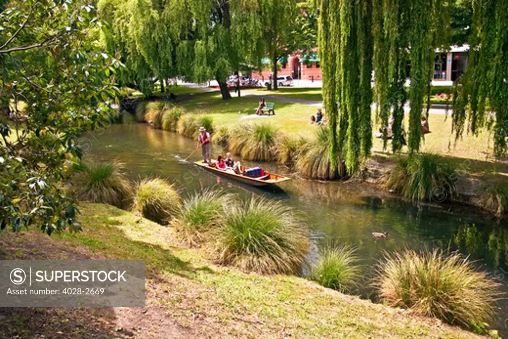 New Zealand, Christchurch, Tourists go punting on the Avon River.