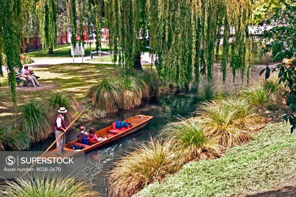 New Zealand, Christchurch, Tourists go punting on the Avon River