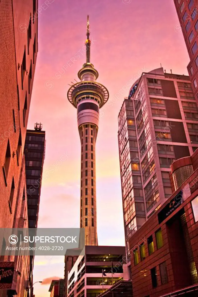 Auckland, New Zealand, the Sky Tower illuminated at night at 328 m it is the tallest free standing structure in the Southern Hemisphere