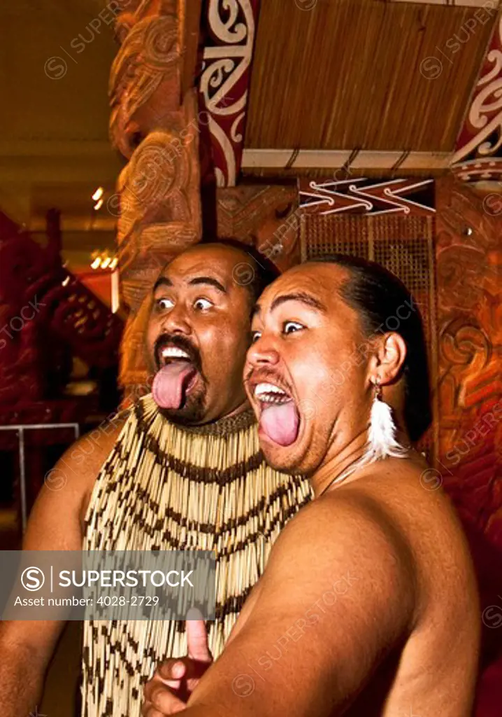 Rotorua, Auckland, New Zealand, Maori Warriors pose during the Haka Dance in a traditional Maori meeting house in the Auckland War Memorial Museum