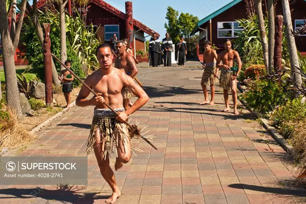 Rotorua, Auckland, New Zealand, Maori Warrior, Men from a trib perform a Haka Dance to challenge new arrivals and show strength