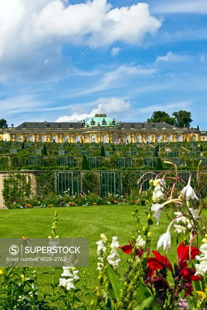 Germany, Brandenburg, Preussen, Potsdam, flowers bloom next to the terraced gardens in front of main facade of Sans Souci Palace.