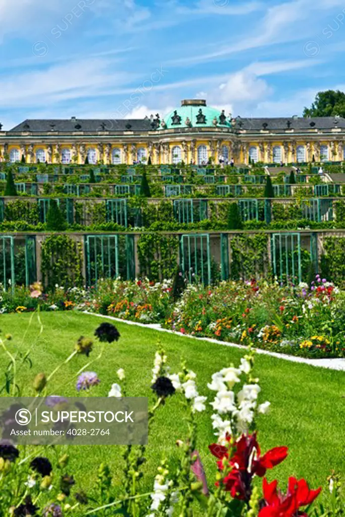 Germany, Brandenburg, Preussen, Potsdam, flowers bloom next to the terraced gardens in front of main facade of Sans Souci Palace.