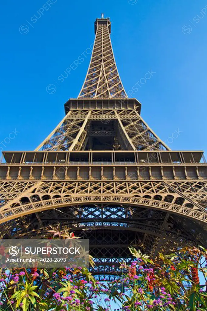 France, Paris, Detail of an Eiffel Tower (La Tour Eiffel) arch from underneath the base of the structure with flowers and plants