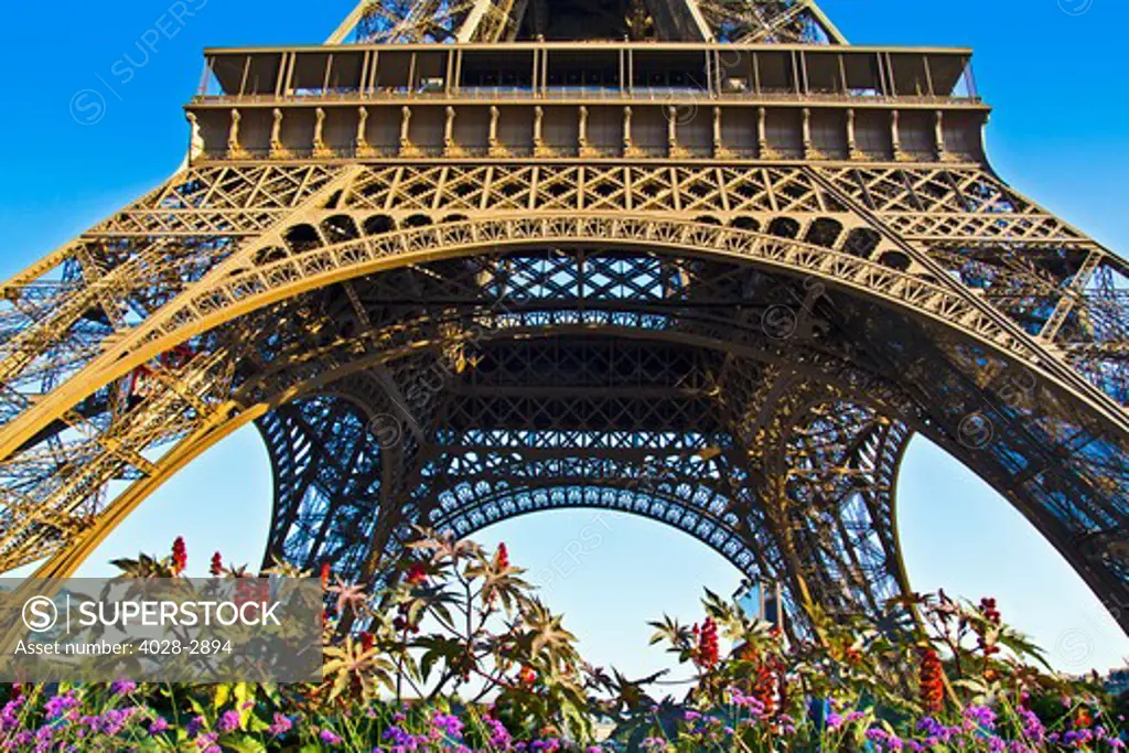 France, Paris, Detail of an Eiffel Tower (La Tour Eiffel) arch from underneath the base of the structure with flowers and plants