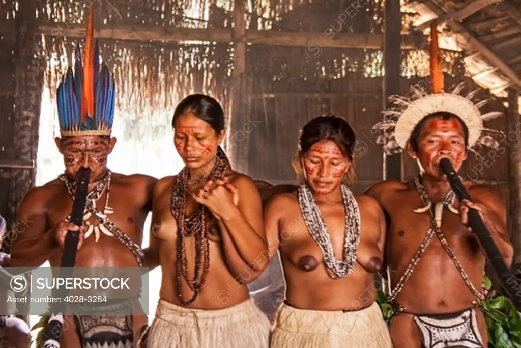 Iquitos, Peru, Amazon Jungle, A Yagua Tribe does a cermonial dance in their village square hut.
