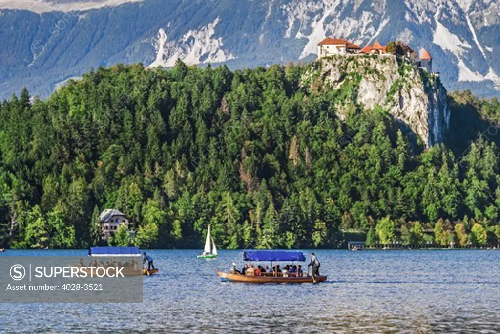 The Bled Castle looms overhead of traditional wooden pletnja rowing boat to ferry tourists to St. Mary's Church of Assumption on the island beyond, Lake Bled, Slovenia