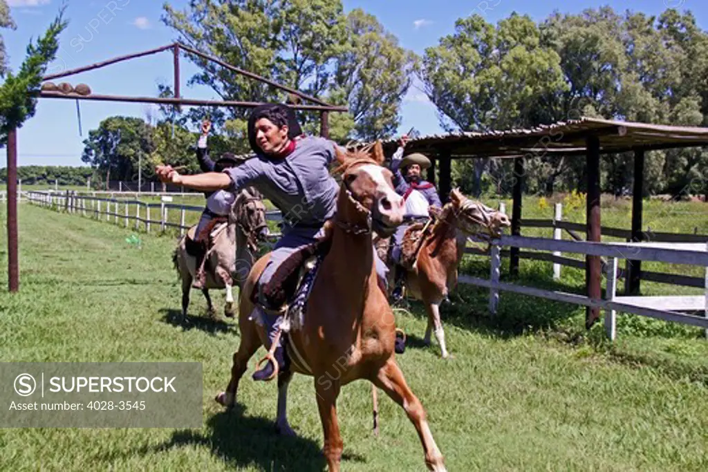 Gaucho display their riding skills on horses during the Ring Race (Sortija) under a wooden frame in Pampas, San Antonio de Areca, Buenos Aires, Argentina