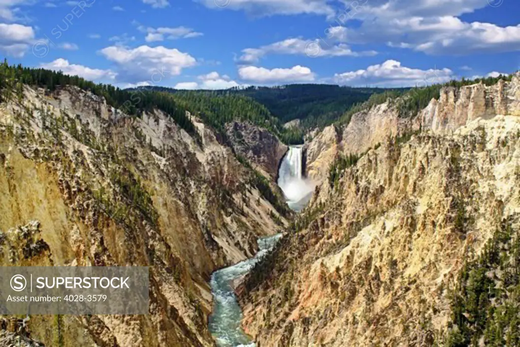 Lower Falls and the Grand Canyon of the Yellowstone River, Yellowstone National Park, Wyoming, USA
