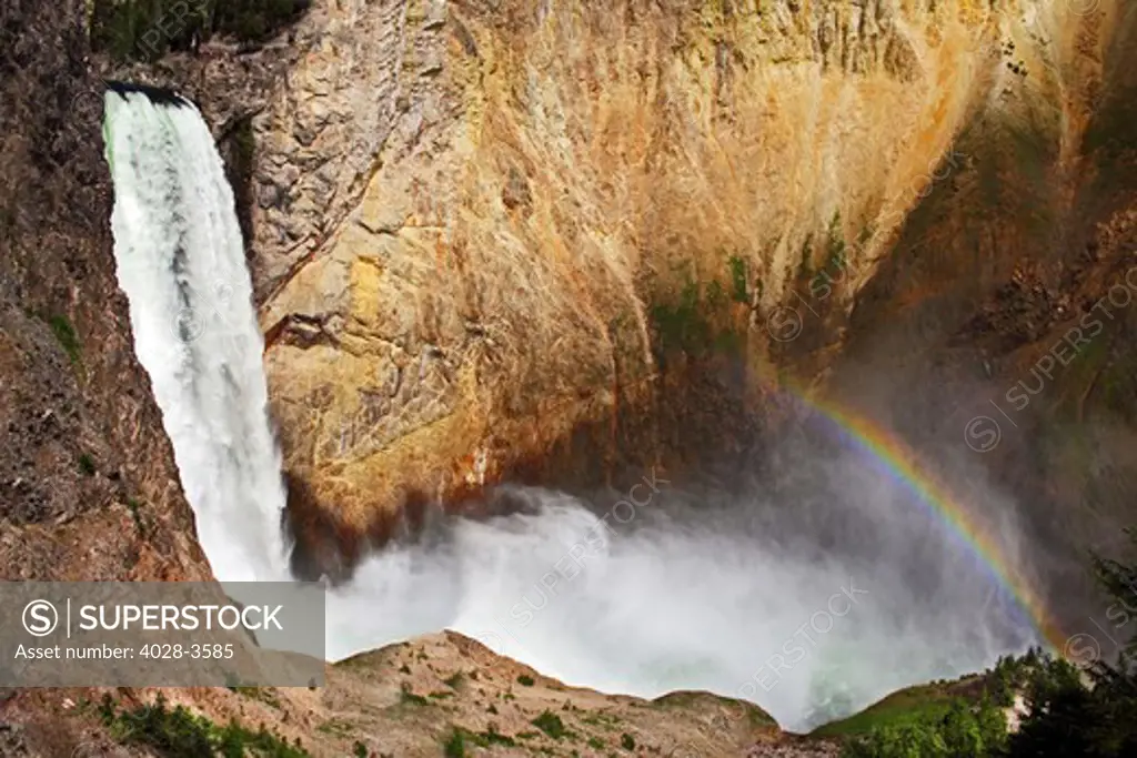 Lower Falls and the Grand Canyon of the Yellowstone River with a rainbow, Yellowstone National Park, Wyoming, USA