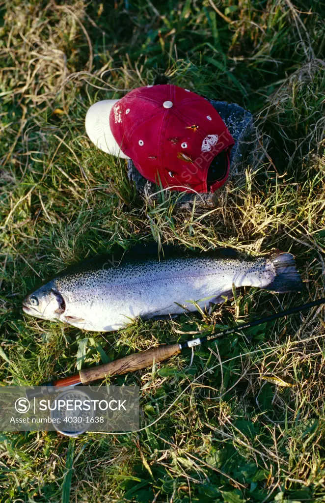 Fishing Rod, Fish and Cap, Franschhoek, South Africa