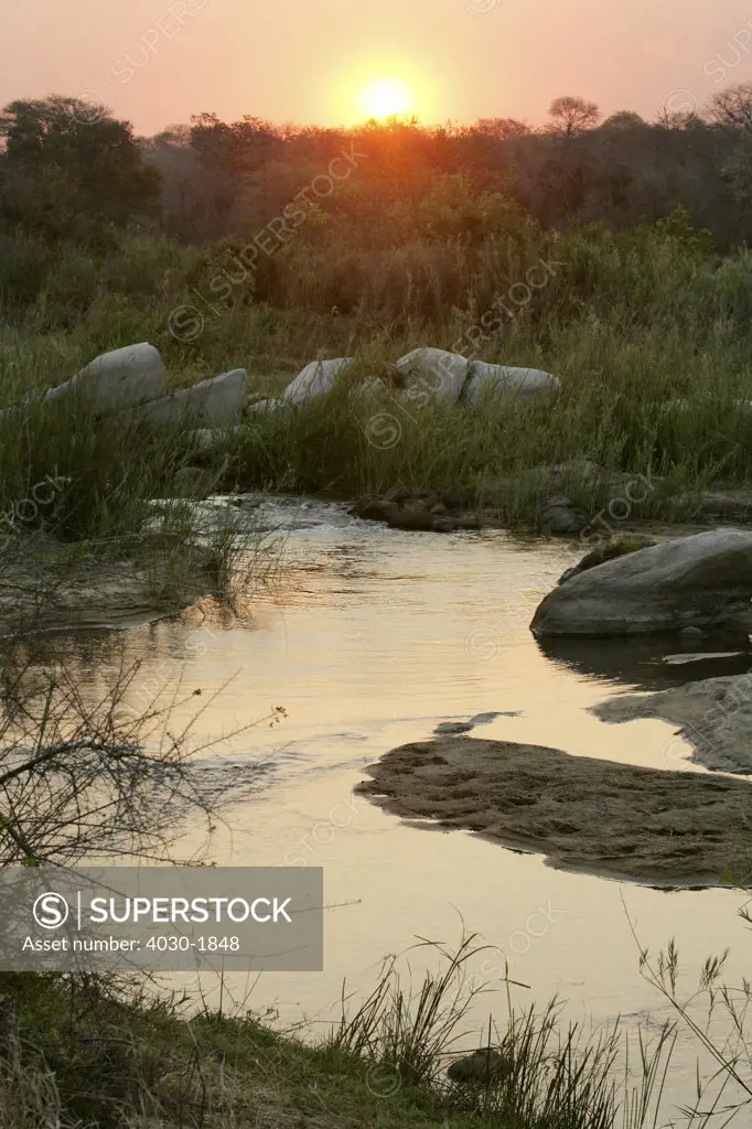 Sunset, Kirkmans Camp Safari Lodge, Mala Mala, Kruger National Park, South Africa, Africa