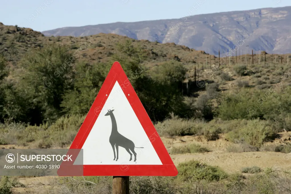 Giraffe Crossing Road Sign, Sanbona Wildlife Reserve, Warmwaterberg, Little Karoo, Route 62, Western Cape, South Africa, Africa