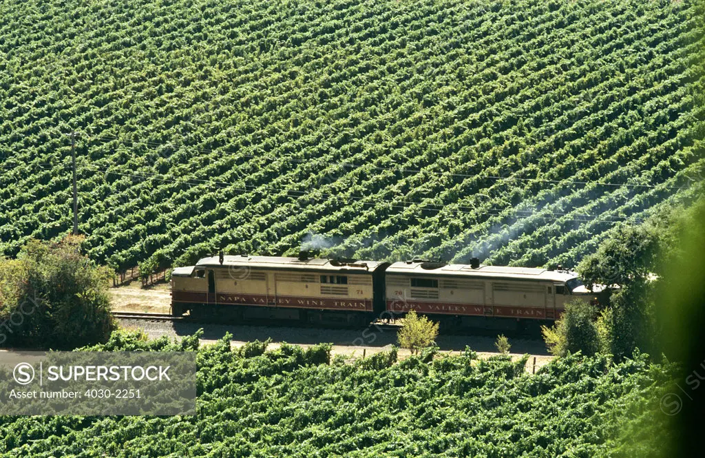 Wine Train, Napa Valley, California, North America