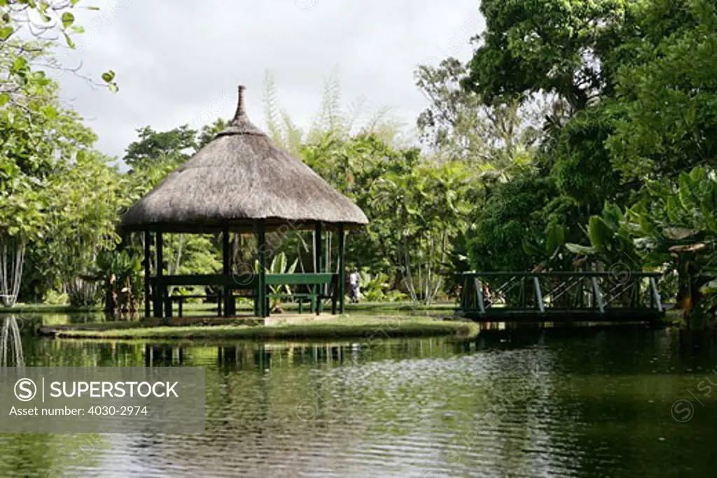 Sir Seewoosagur Ramgoolam Botanical Gardens, Pamplemousses, Mauritius