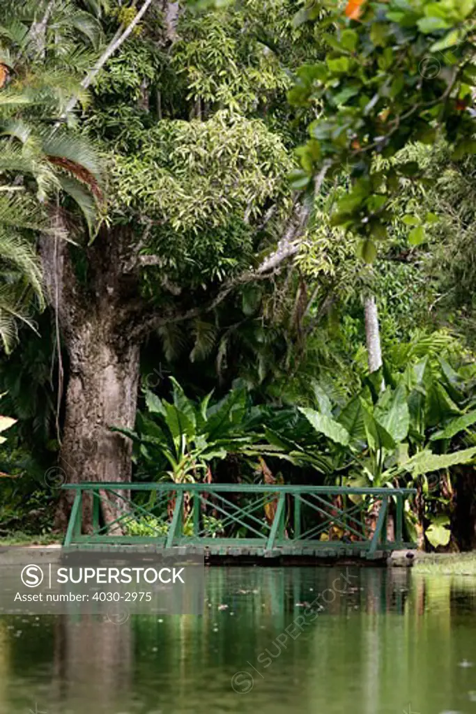 Bridge and Pond, Sir Seewoosagur Ramgoolam Botanical Gardens, Pamplemousses, Mauritius