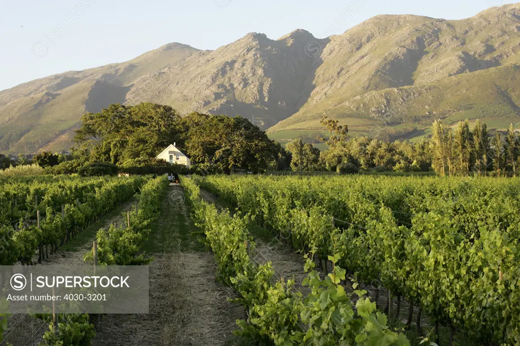 Auberge Clermont Luxury Retreat, Franschhoek, South Africa's Wine Route