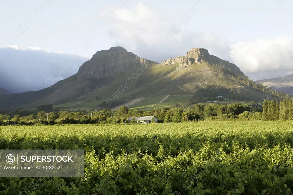 Auberge Clermont Luxury Retreat, Franschhoek, South Africa's Wine Route