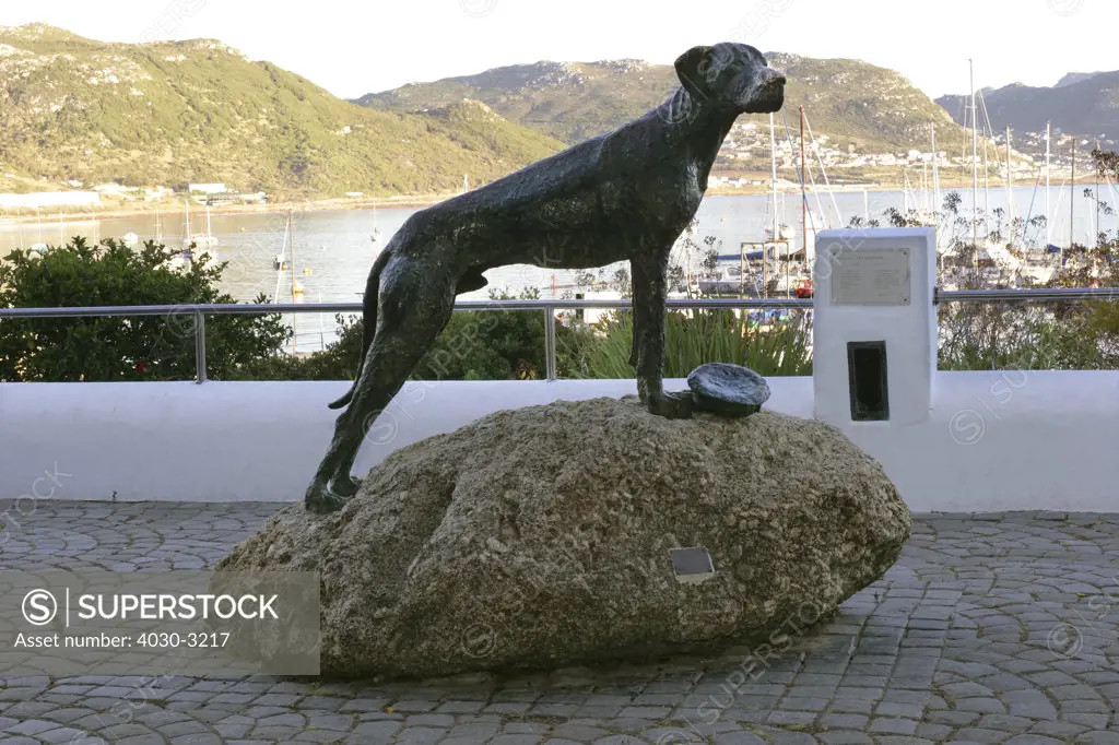 Bronze Statue of Just Nuisance - the only dog ever to be officially enlisted in the Royal Navy. Situated in Simon's Town, Greater Cape Town, South Africa