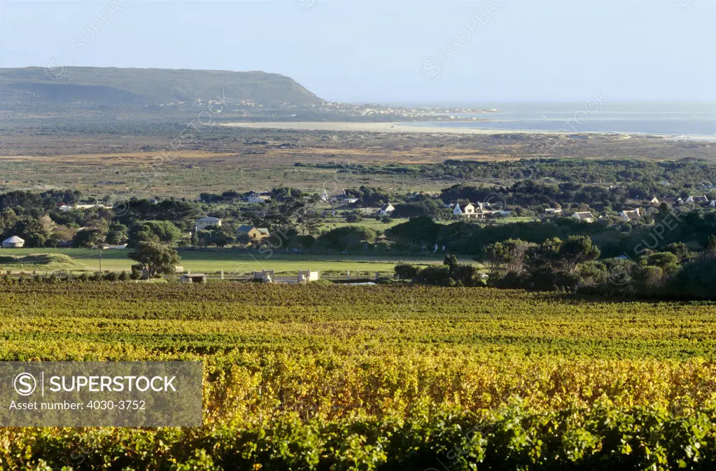 Cape Wine Route, Noordhoek/Cape Point, Western Cape