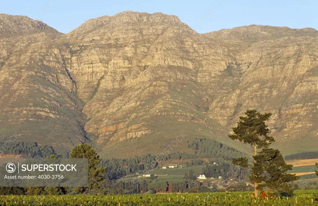 Cape Wine Route, Western Cape