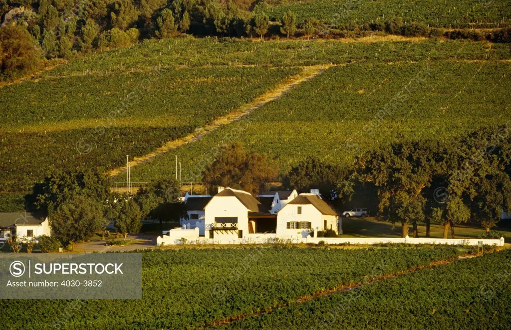 Cape Wine Route, Paarl, Western Cape
