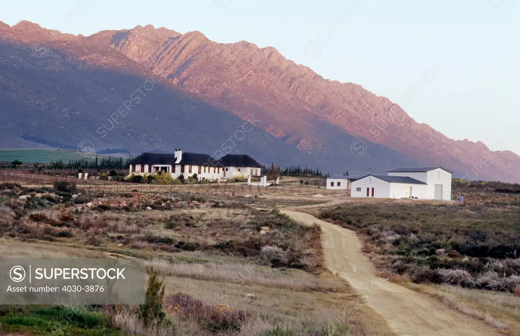 Cape Wine Route, Western Cape