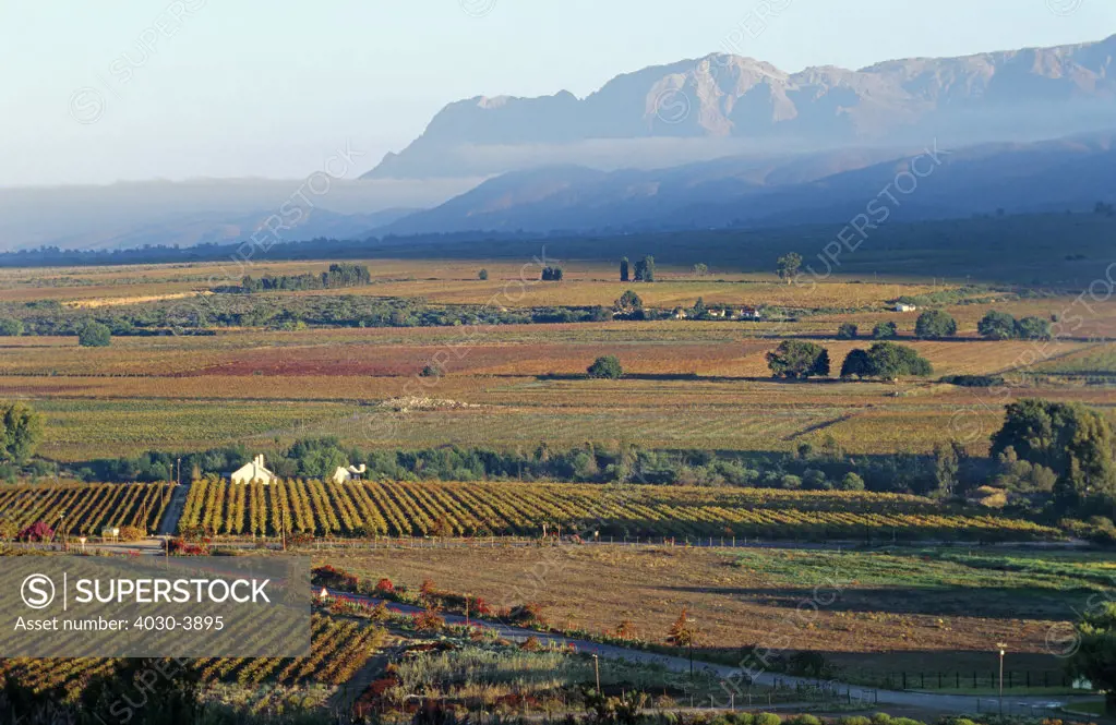 Cape Wine Route, Hex River Valley, Western Cape