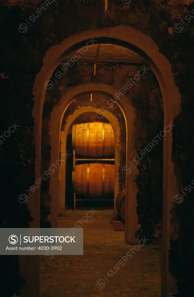 Barrels, cellar, Robertson, Western Cape