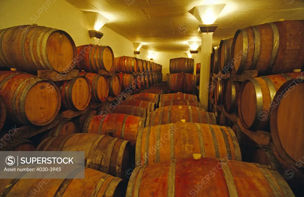 Wine barrels, Cape Wine Route, Western Cape