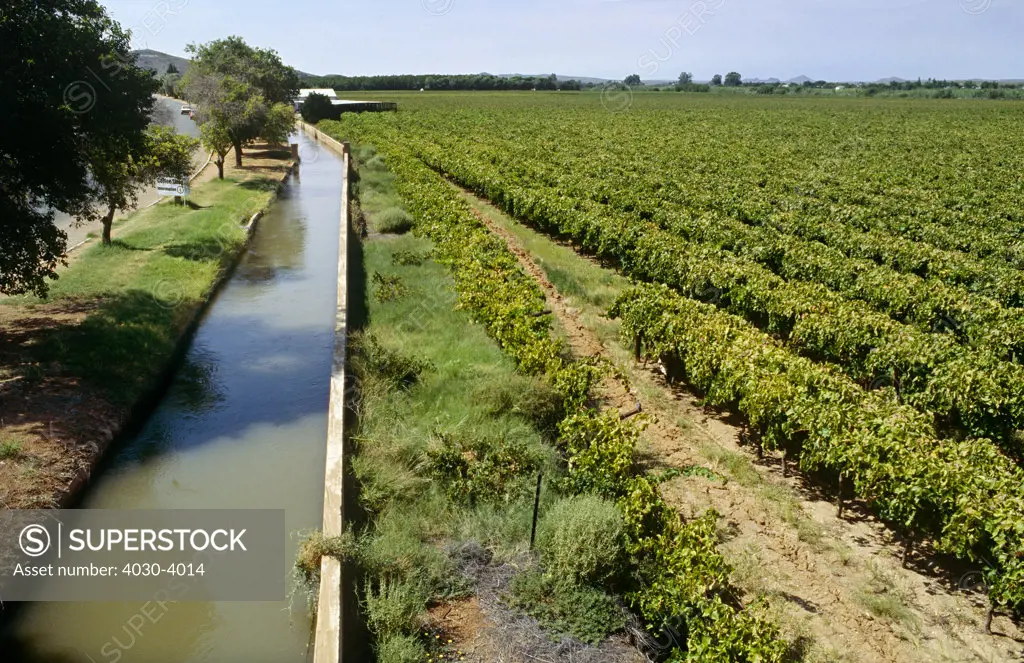 Orange River, Cape Wine Route, Northern Cape