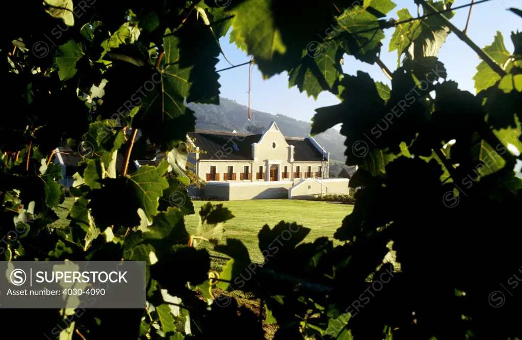 Zorgvliet Wine Estate, Stellenbosch, Western Cape