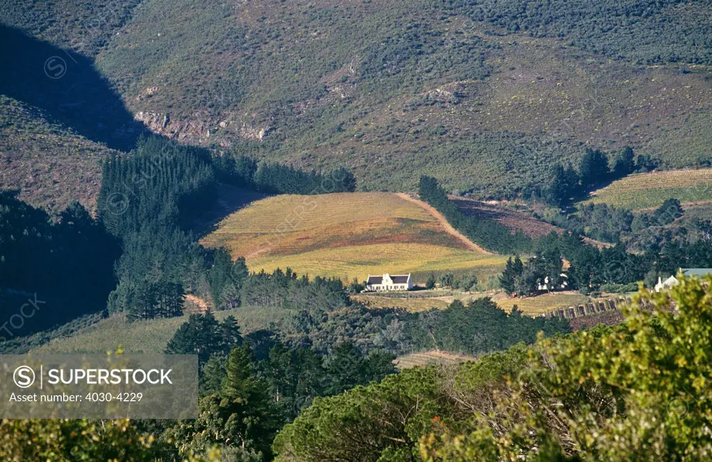 Cape Dutch farmstead, Franschhoek, Western Cape