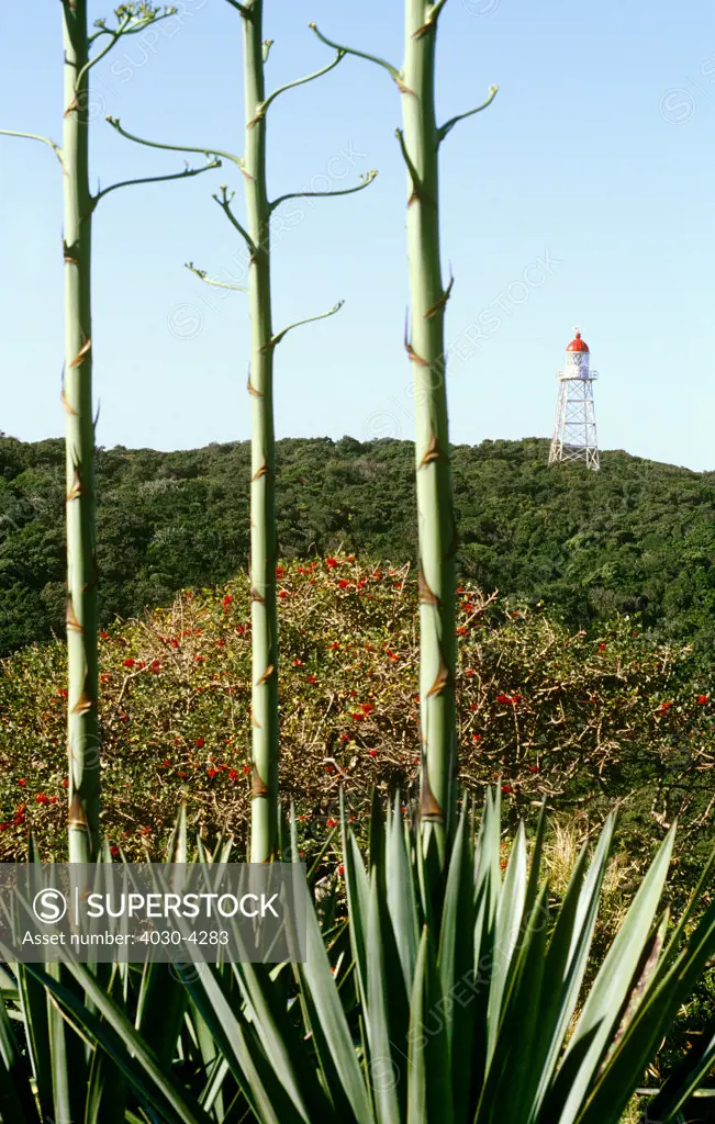 Mbashe Lighthouse, Transkei, Eastern Cape